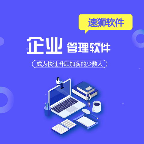 北京进销存软件定制公司,速狮软件更专业使用效果好